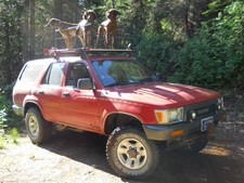 Hunting mountain lion and bear with hounds in Idaho with Redbone Outfitting.

